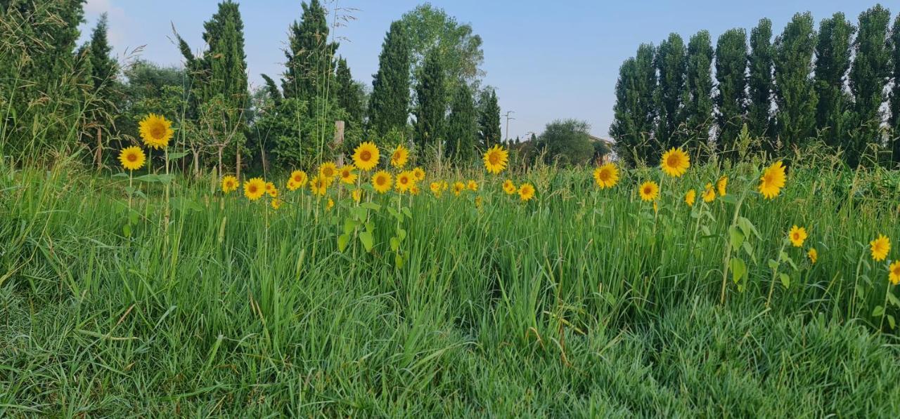 Fattoria Il Giardo Apartamento Pietrasanta