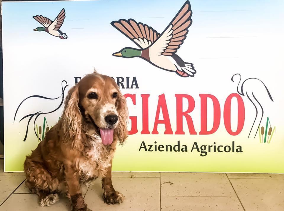 Fattoria Il Giardo Apartamento *