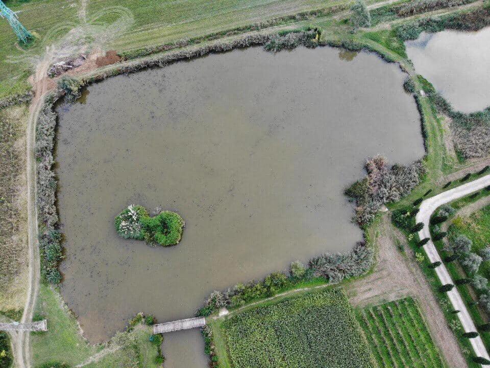 Fattoria Il Giardo * Pietrasanta