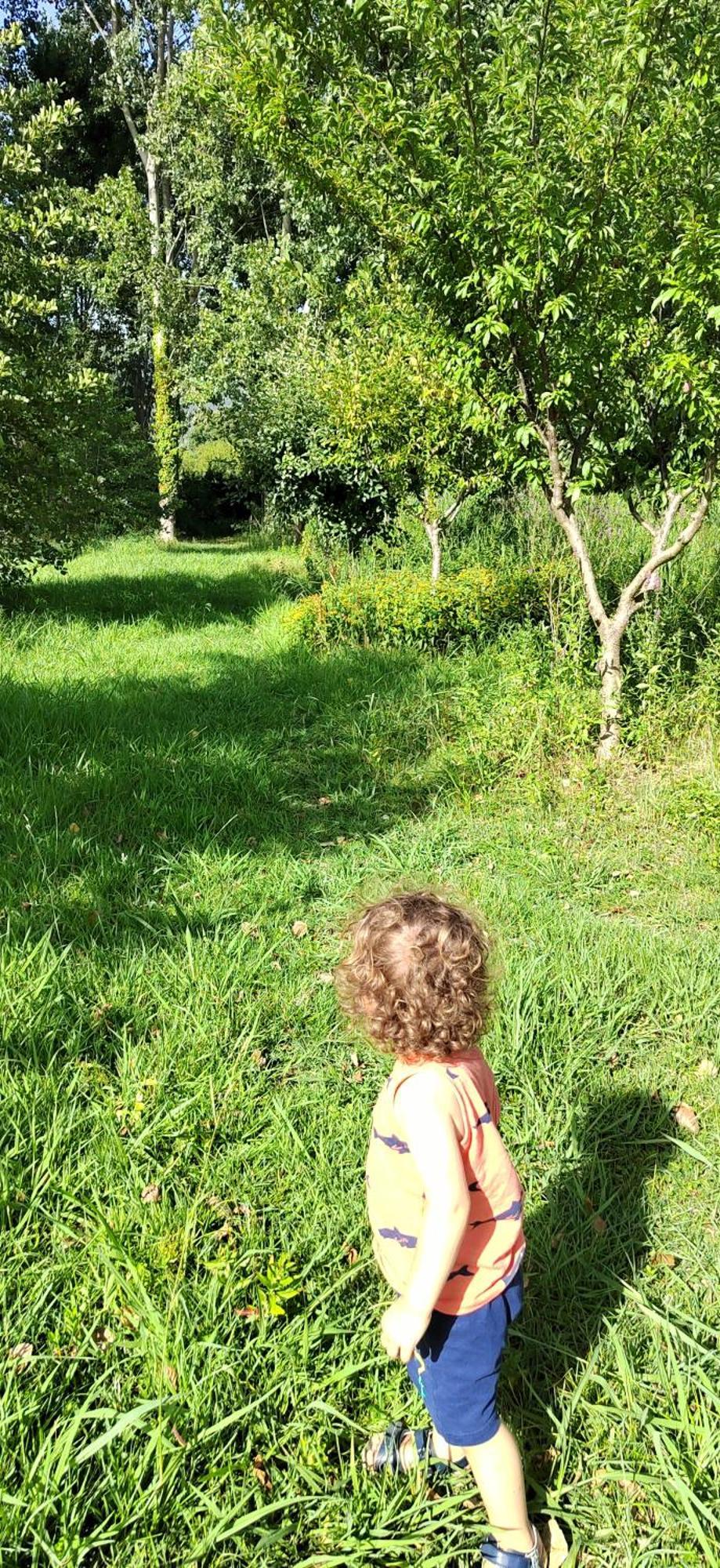 Apartamento Fattoria Il Giardo