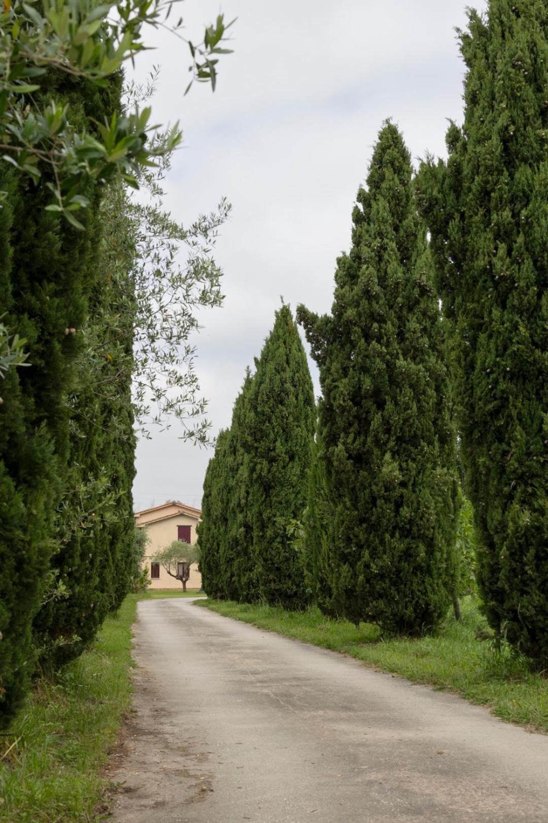 Fattoria Il Giardo Apartamento Pietrasanta