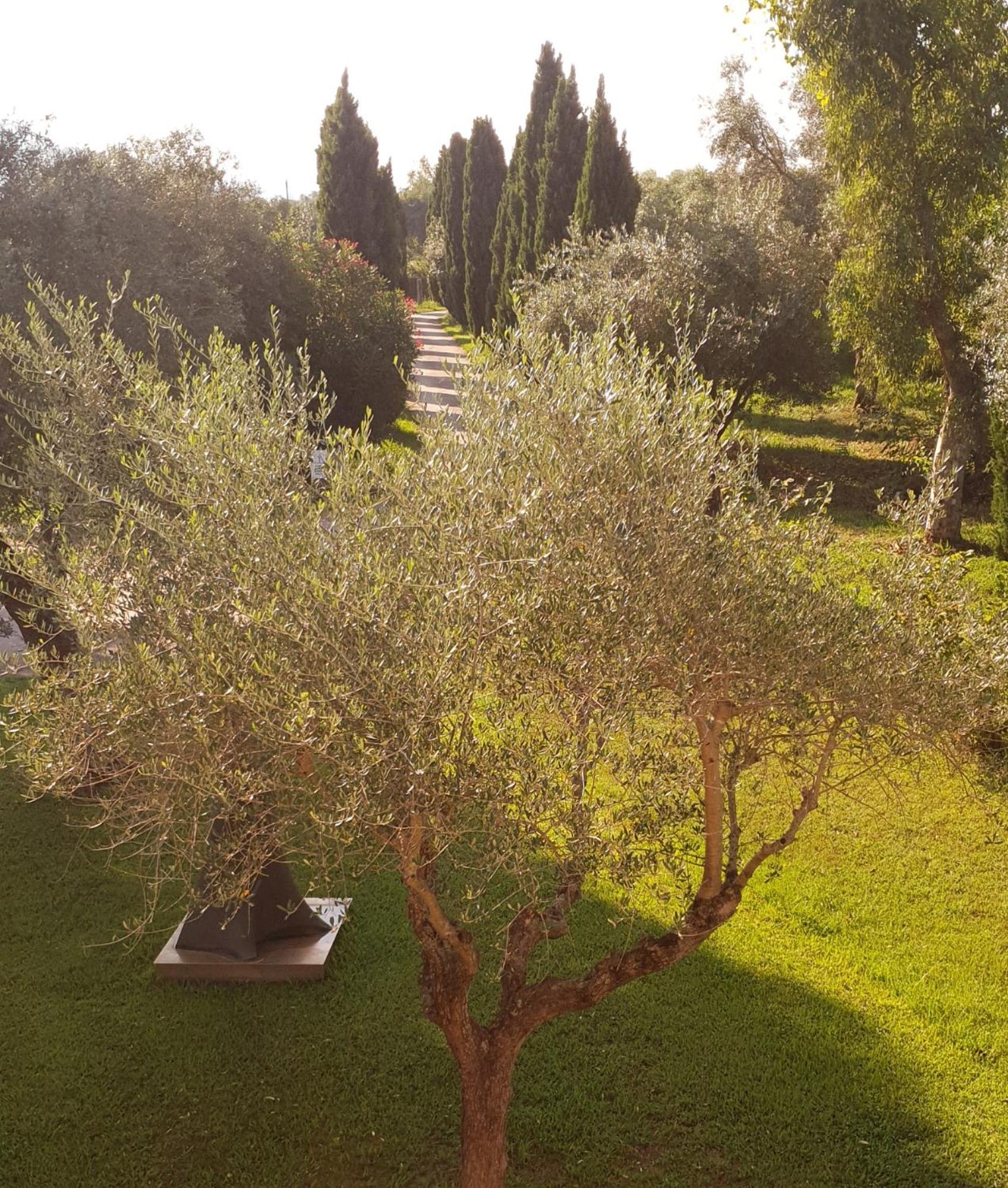 Fattoria Il Giardo Apartamento Pietrasanta